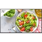 Sony BRAVIA FW-75BZ35L 75 Sony BRAVIA FW-75BZ35L 75