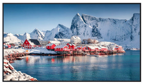 Pansonic 55 inch 4K UHD LCD Display – TH-55SQ1