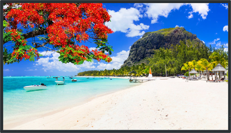Panasonic 55-inch Class 4K UHD LCD Display – TH-55SQ2HW