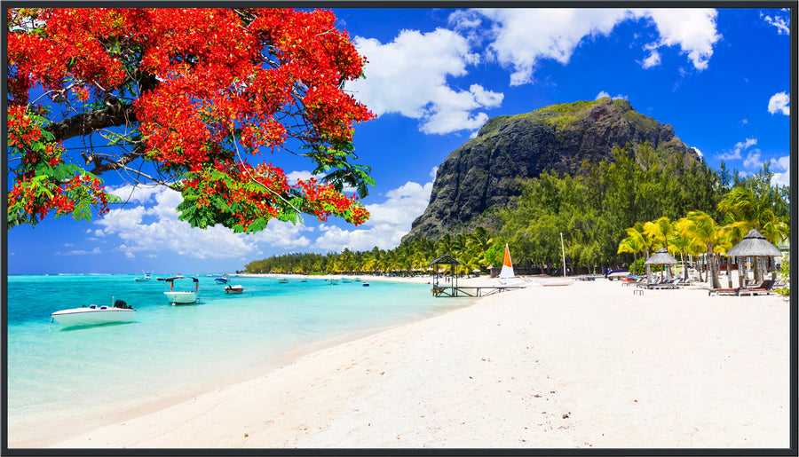 Panasonic 65-inch Class 4K UHD LCD Display – TH-65SQ2HW