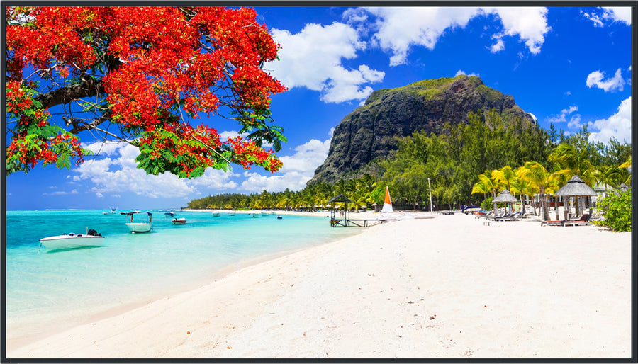 Panasonic 75-inch Class 4K UHD LCD Display – TH-75SQ2HW