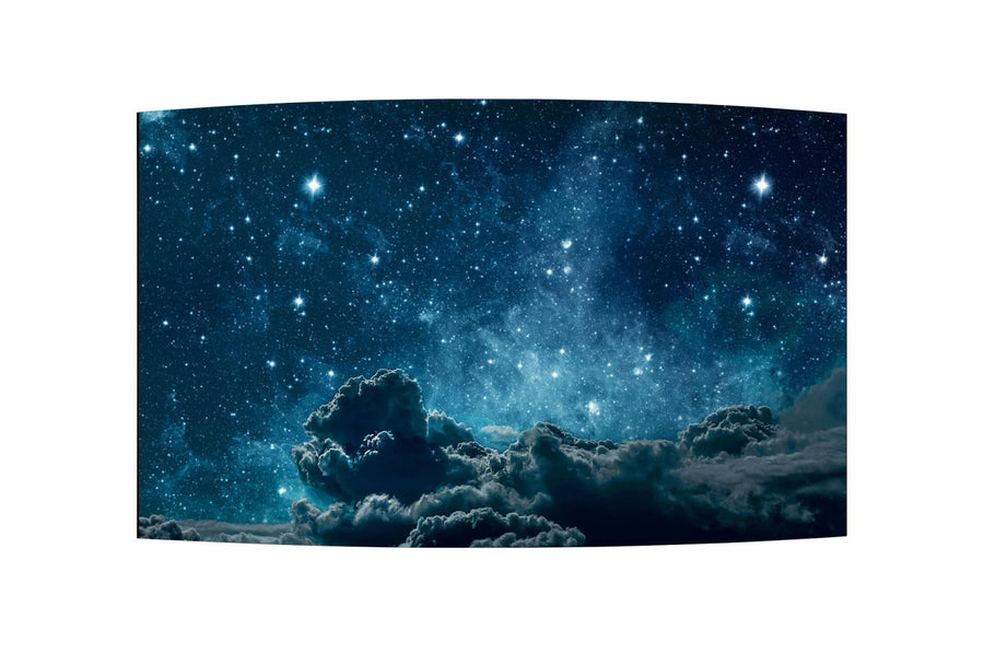 LG 55-inch Flexible Curved OLED Open Frame Digital Signage Display – 55EF5F-L