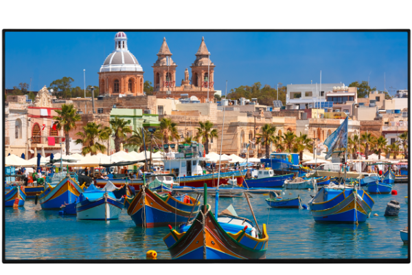 Vestel 55" PEH55F35/6 Professional Signage Display
