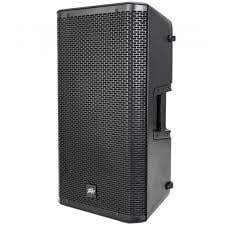 Peavey RBN-110 1050-Watt 10 inch Powered Speaker Peavey RBN-110 1050-Watt 10 inch Powered Speaker