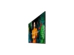Samsung QM55C 55 Samsung QM55C 55