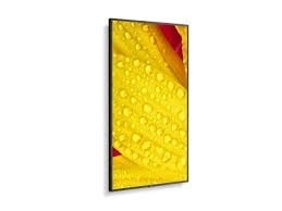 NEC MultiSync ME651 65 NEC MultiSync ME651 65