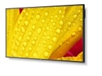 NEC MultiSync M501-2 LCD 50 NEC MultiSync M501-2 LCD 50