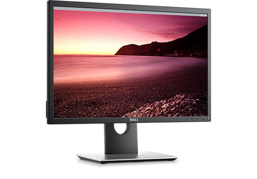 Dell P2217 22 Dell P2217 22