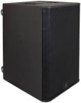 Peavey RBN-215 2 x 15″ Powered Subwoofer Peavey RBN-215 2 x 15″ Powered Subwoofer