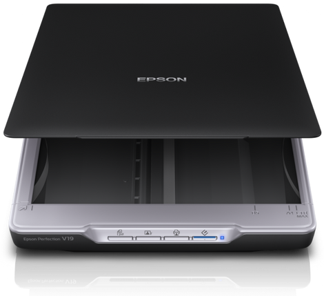 Epson B11B231401 Perfection V19 Photo and document scanner