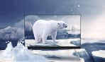 Newline DV Series 120 Inches Ultra Thin Frame HD Large Format LED Display Newline DV Series 120 Inches Ultra Thin Frame HD Large Format LED Display