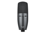 Shure Beta 27 Supercardioid Condenser Microphone Shure Beta 27 Supercardioid Condenser Microphone