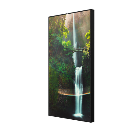 Hisense 55WH80F 55-inch 4K UHD window-facing digital signage display