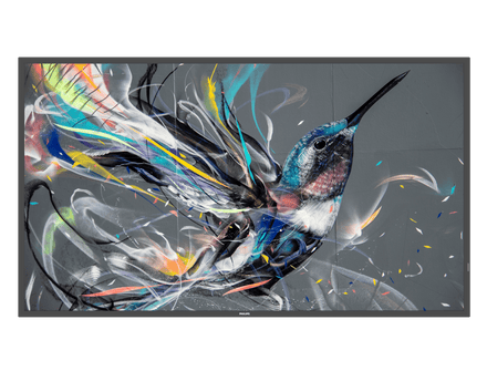 Philips 50BDL3511Q/00 50-inch 4K UHD digital signage display