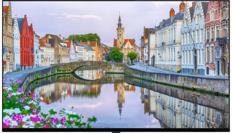 Vestel Lite Series 50" Signage Solution – LB50G-2