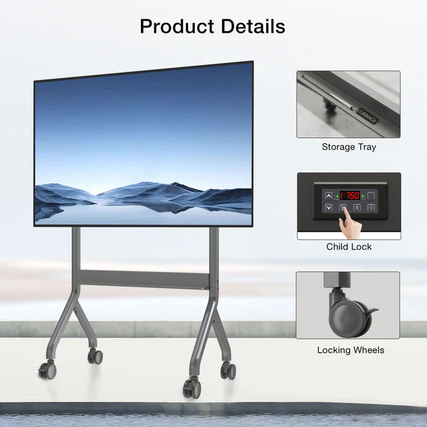 EQ TEX 75-90 Stand for Interactive Displays | Fits 75