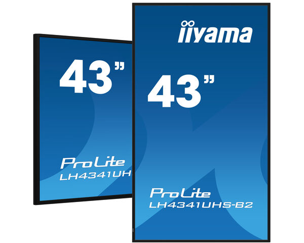 43