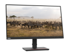 Lenovo ThinkVision P32p-20 31.5
