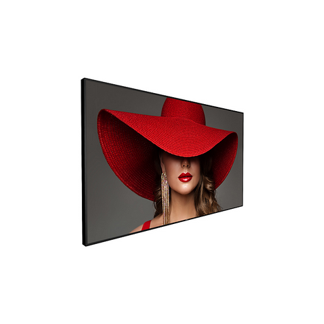 Philips Signage Solutions D-Line Display 98BDL4650D/00 – 98BDL4650D/00