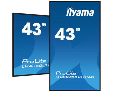 43" 4K UHD professional digital signage display with advanced control and connectivity options – ProLite LH4360UHS-B1AG