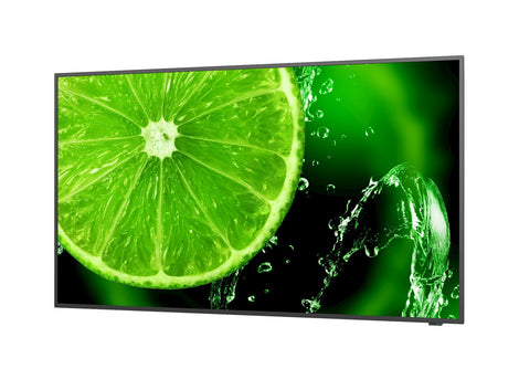 NEC MultiSync® E498 LCD 49" Essential Large Format Display – E498