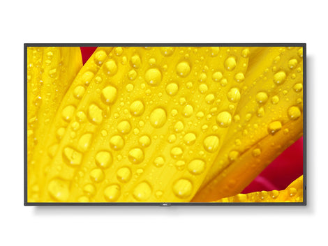 NEC MultiSync® LCD 65" Message Large Format Display – M651-2
