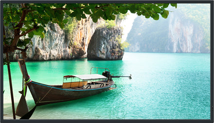 Panasonic 43-inch Class 4K entry displays – TH-43CQ2