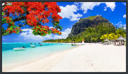 Panasonic 43-inch Class 4K UHD LCD Display – TH-43SQ2HW