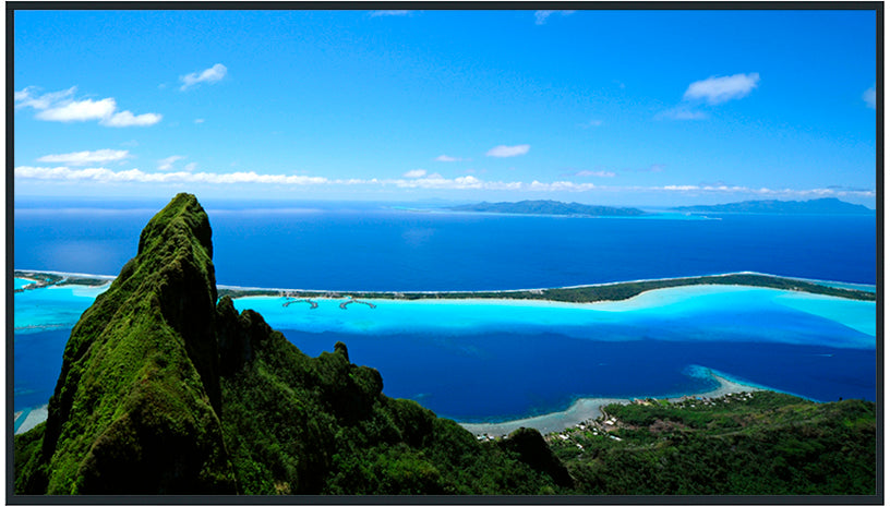 Panasonic 49 inch 4K UHD LCD Display – TH-49SQ1