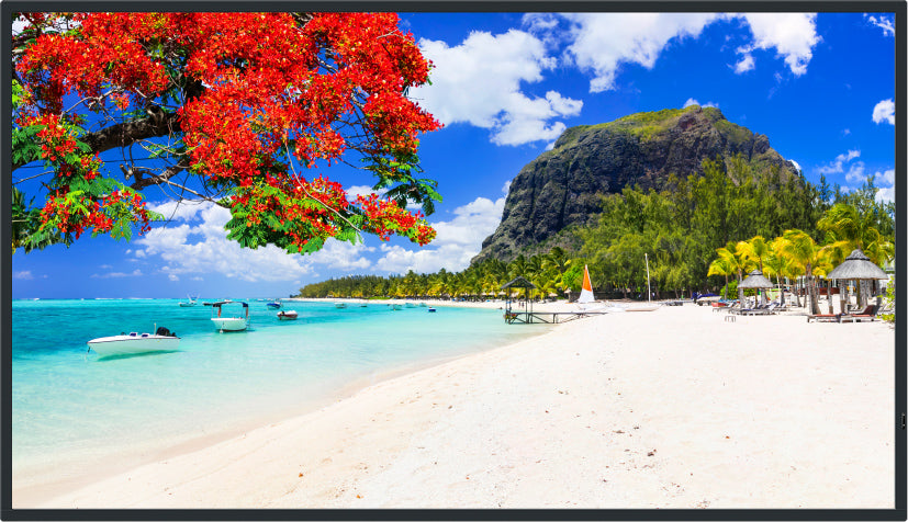 Panasonic 50-inch Class 4K UHD LCD Display – TH-50SQ2HW