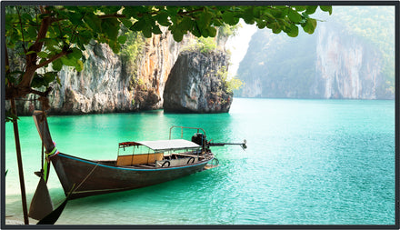 Panasonic 55-inch Class 4K entry displays – TH-55CQ2