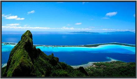 Panasonic 55 inch 4K UHD LCD Display – TH-55SQ1