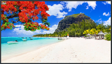 Panasonic 75-inch Class 4K UHD LCD Display – TH-75SQ2HW