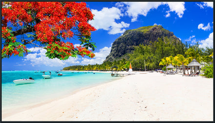 Panasonic 86-inch Class 4K UHD LCD Display – TH-86SQ2HW