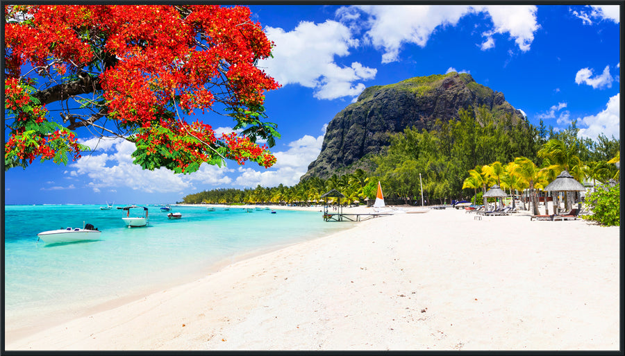 Panasonic 86-inch Class 4K UHD LCD Display – TH-86SQ2HW