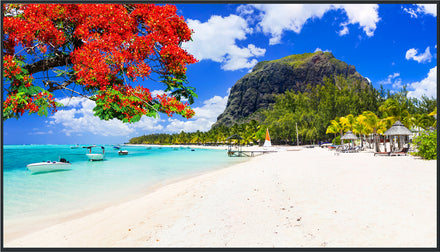 Panasonic 98-inch Class 4K UHD LCD Display – TH-98SQ2HW
