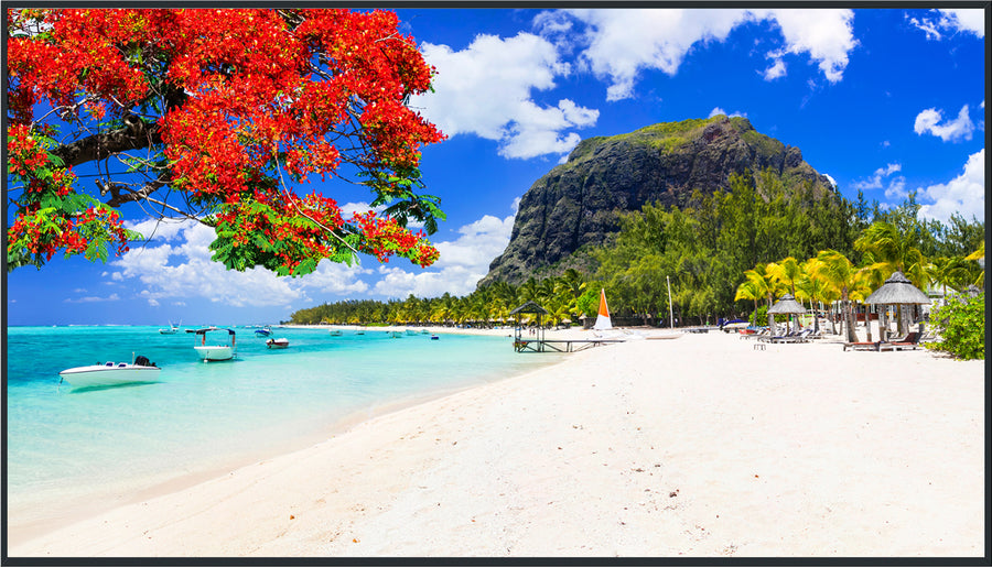 Panasonic 98-inch Class 4K UHD LCD Display – TH-98SQ2HW