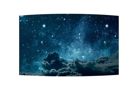 LG 55EF5F-L 55-inch flexible curved OLED open frame digital signage display