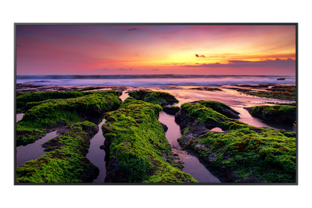 Samsung QB65-B 65" 4K Crystal UHD Smart Digital Signage