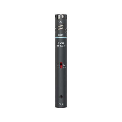 AKG C391 B High Performance Condenser Microphone