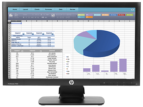 HP ProDisplay P202 20.0