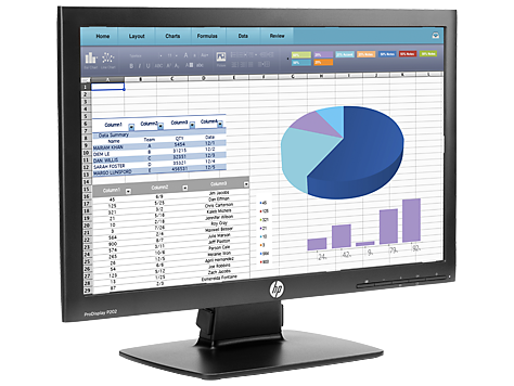 HP ProDisplay P202 20.0