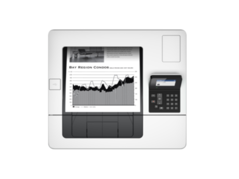 HP LaserJet Enterprise M506dn (F2A69A)
