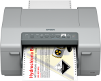 Epson ColorWorks C831 Inkjet Label Printer