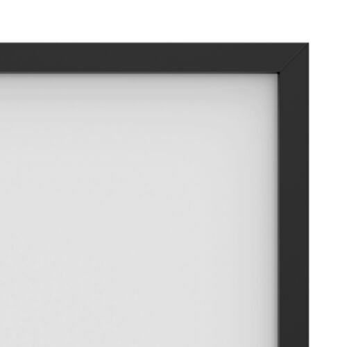 Dalite Da-Snap Projection Screen