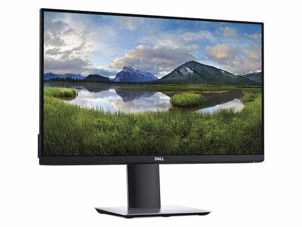 Dell P2419H 24