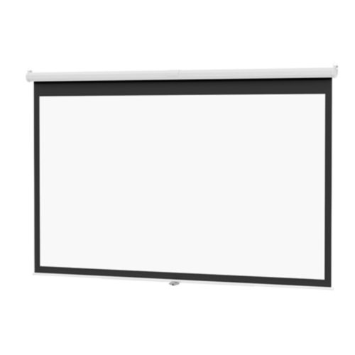 Dalite Deluxe Model B Projection Screen