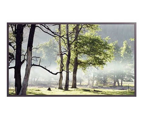 Hyundai Large Format Digital Signage 46" SNB (500nits) D46EM