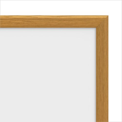 Dalite Imager Projection Screen