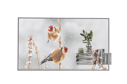 LG 55EW5P-M 55-inch transparent OLED signage display